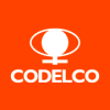 1. CODELCO